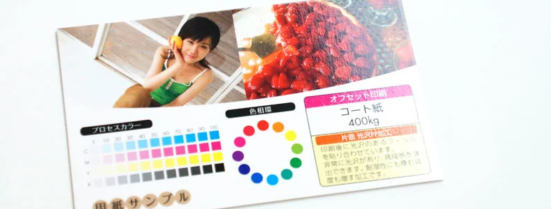 コート紙 310kg + 片面光沢PP加工